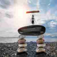 精​准​数​据﻿备‍份‌系‌统​